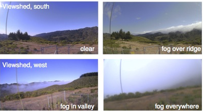 Image showing 4 pictures; the top left shows a clear day from the south viewshed; the top right image shows fog over a ridge from the south viewshed; the bottom left image shows fog in the valley from the west viewshed; the bottom right image shows fog everywhere from the west viewshed