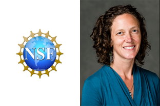 Assistant Professor Amy Pickering Receives Prestigious NSF CAREER Award