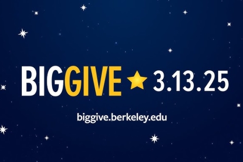 Big Give 2025 Flyer (Photo Credit: Big Give).