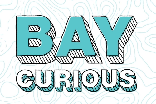 Professor Susan Shaheen is featured in Bay Curious's recent episode.
